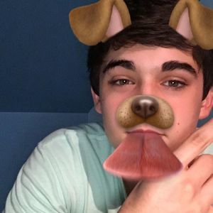 Meet your Posher, Harley